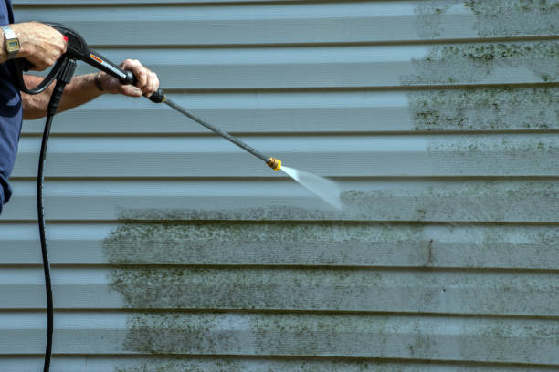 Best Gutter Cleaning  in South Gate Ridge, FL